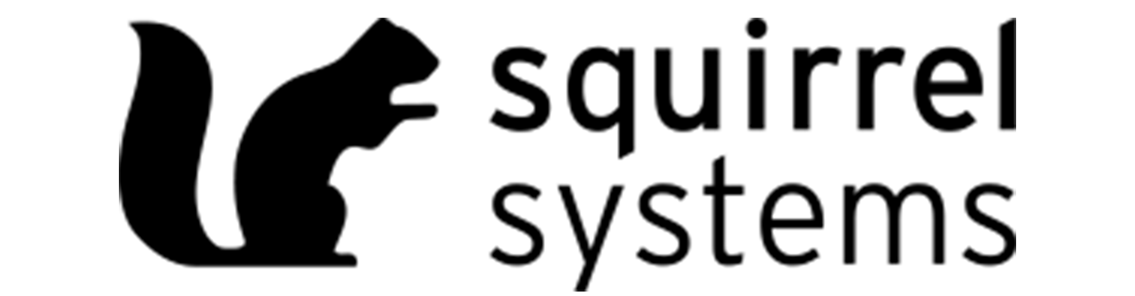 Squirrel-Systems