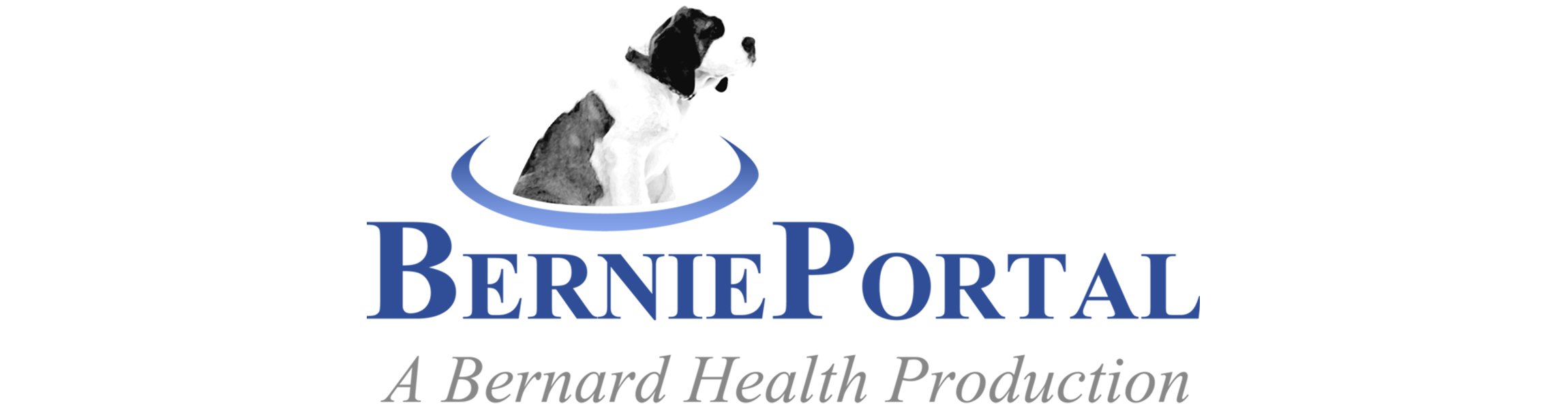 bernie-portal